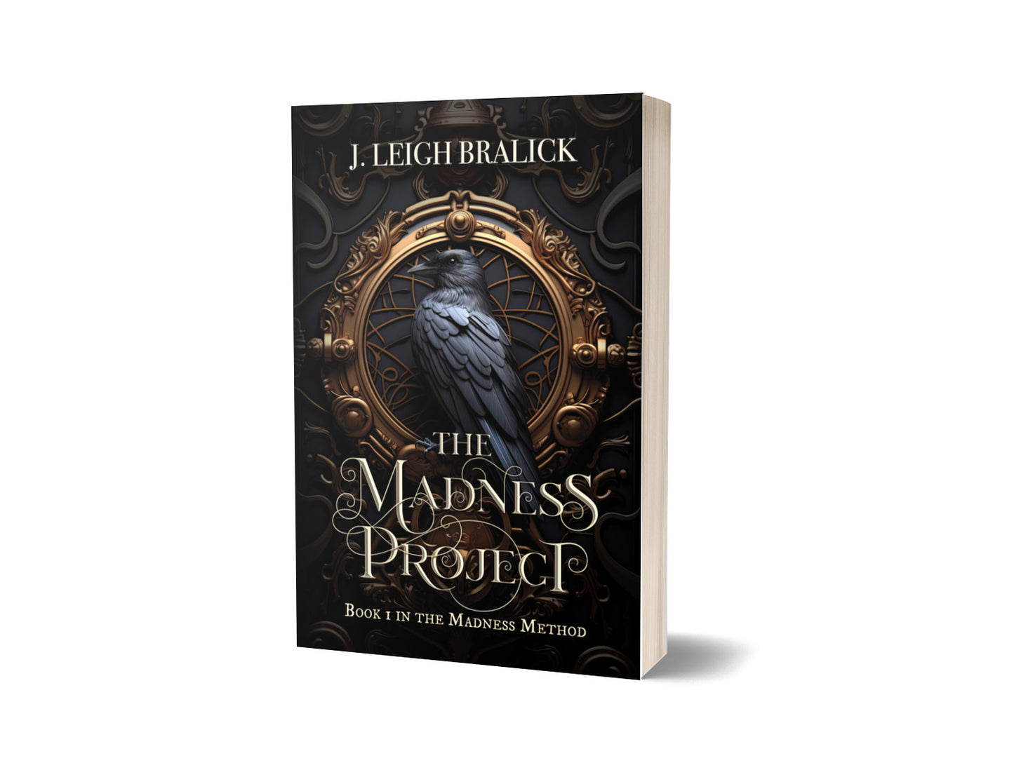 The Madness Project (The Madness Method #1) - Paperback (Vorona Books)
