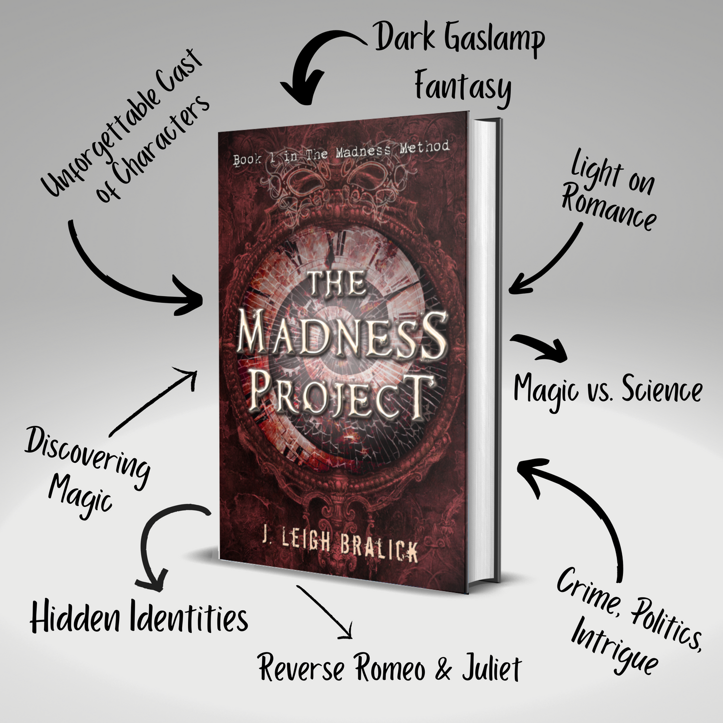 The Madness Project (The Madness Method #1) - Paperback